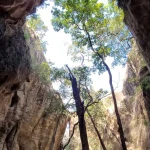 3 Night Pachmarhi 2 Night Kanha 1 Night Bandhavgarh