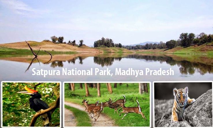 3 Days Tour to Satpura National Park5