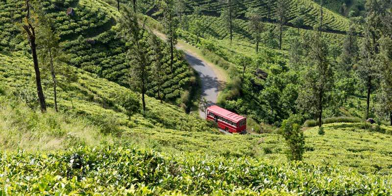 Darjeeling Tour Packages