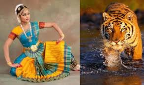 Khajuraho Dance Festival with Wildlife4