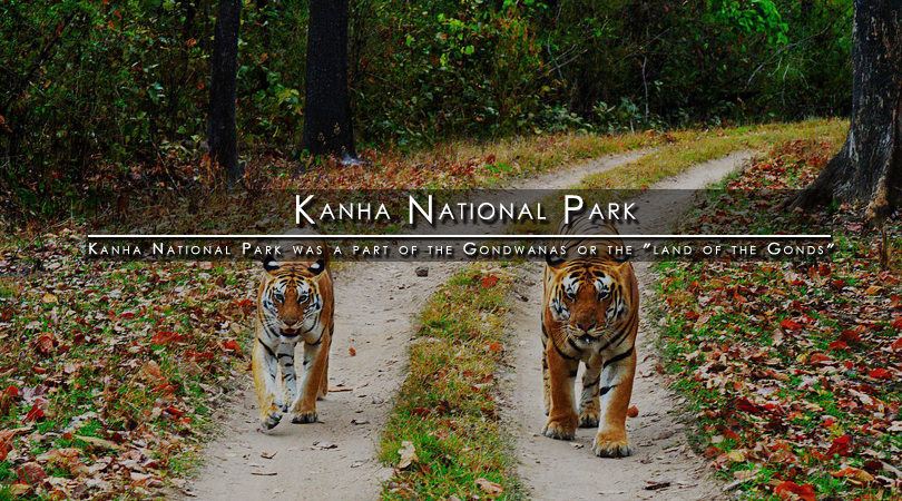 Madhya Pradesh with Kanha Tour9