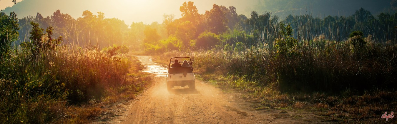 Tiger Trail with Exotic Khajuraho1