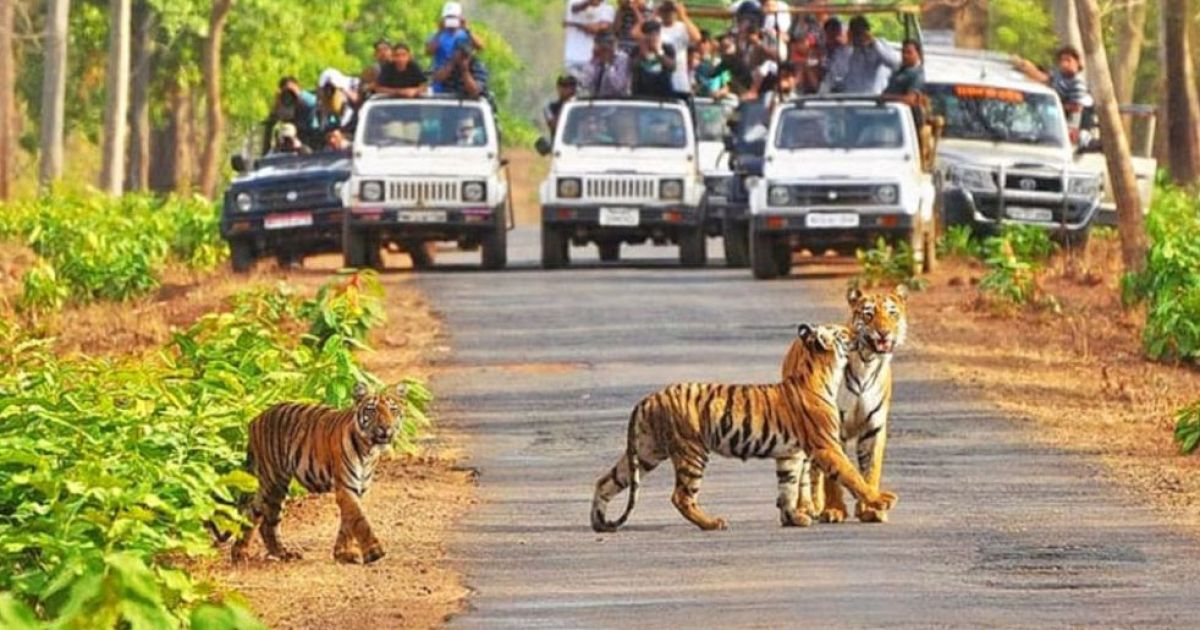 1 Night Jabalpur 2 Night Bandhavgarh 1 Night Khajuraho6