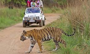 1 Night Jabalpur 2 Night Bandhavgarh1
