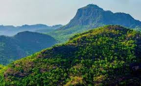 2 Night Kanha 1 Night Bandhavgarh