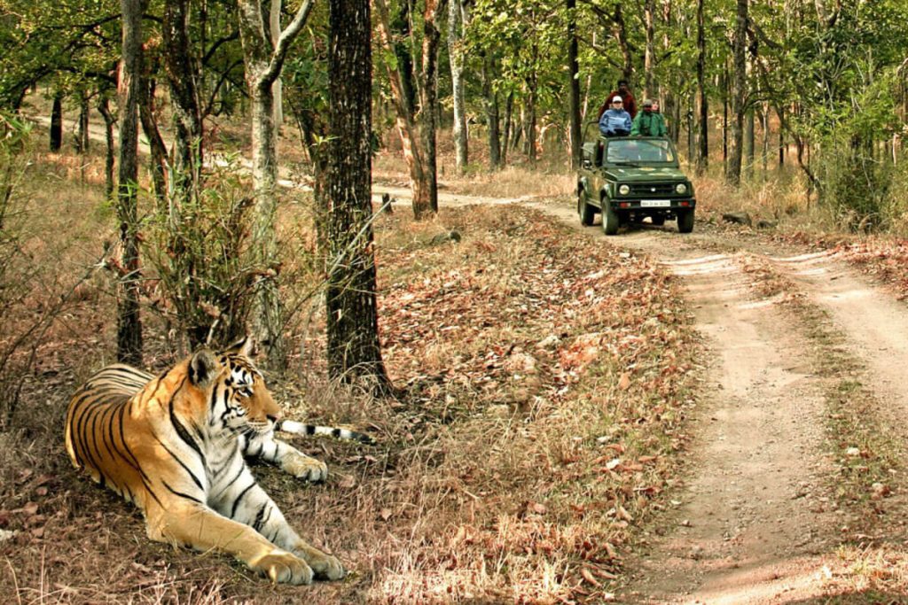 1 Night Jabalpur 3 Night Bandhavgarh 3 Night Kanha