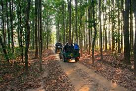 1 Night Jabalpur 2 Night Kanha 3 Nights Pachmarhi3