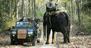 1 Night Kanha 1 Night Bandhavgarh