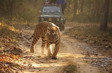 1 Night Jabalpur 3 Night Bandhavgarh9