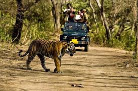 2 Days Tour to Panna National Park9