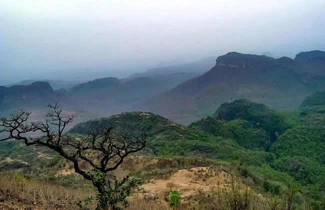 2 Night Madhai 3 Night Pachmarhi 1 Night Bhopal 1 Night Ujjain