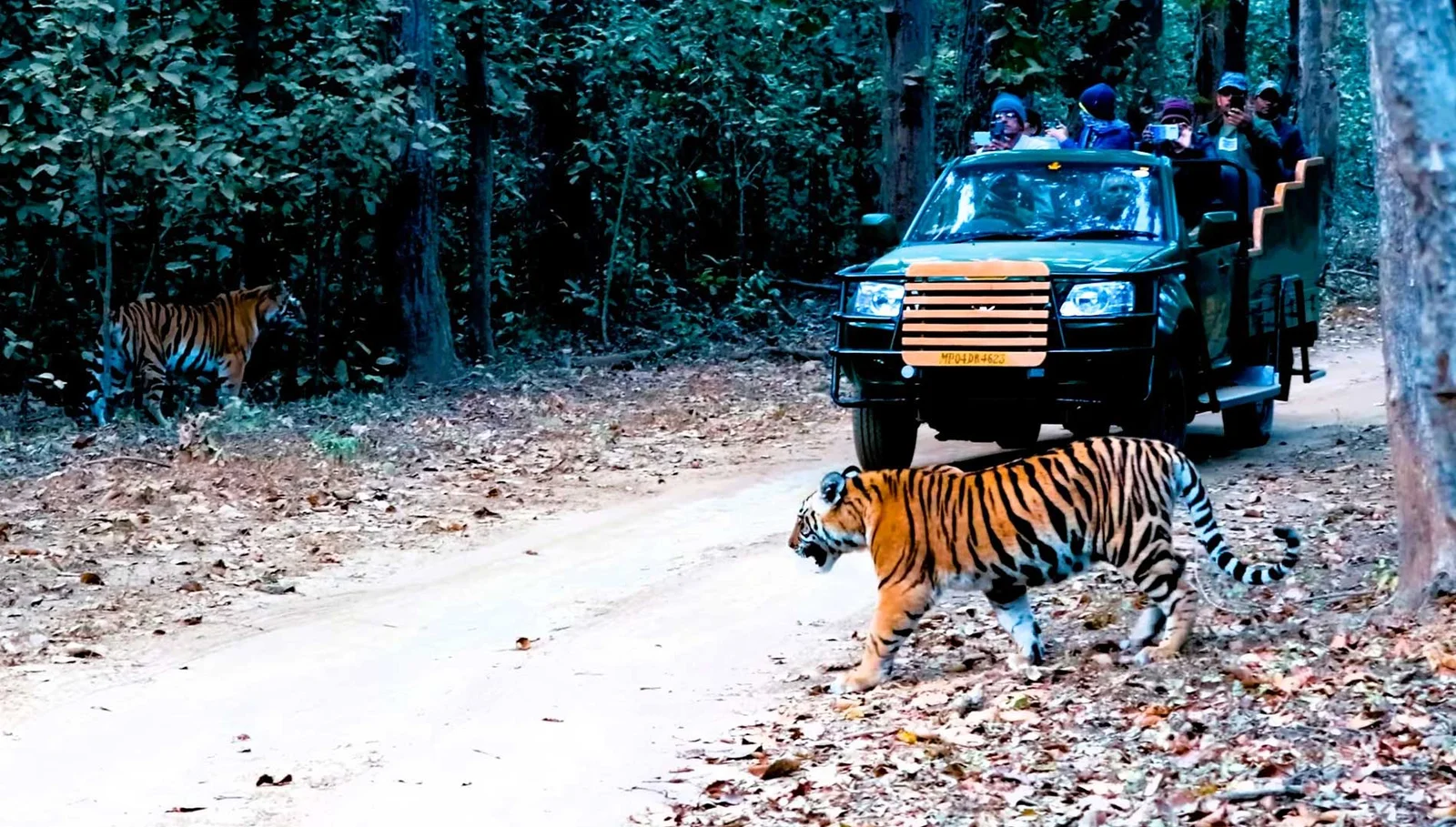2 Night Madhai 3 Night Pachmarhi 2 Night Kanha 2 Night Bandhavgarh 1 Night Jabalpur2