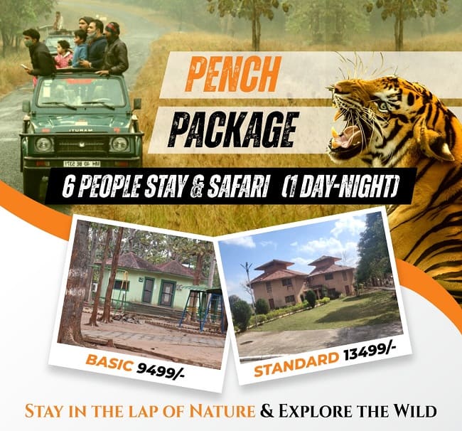 Experience The Best High & Low Range Pench National Park Adventures Khan Travel Agency