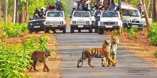 Khajuraho With Tiger Tour1