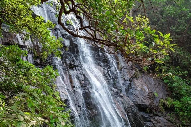 Pachmarhi 2 Nights 3 Days Itinerary2 Pachmarhi 2 Nights 3 Days Itinerary2