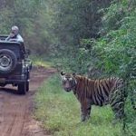 Safari Booking from Satpura in pachmarhi madhya pradesh india Khan Travel Agency