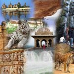Sightseeing & Transfer Packages in pachmarhi madhya pradesh