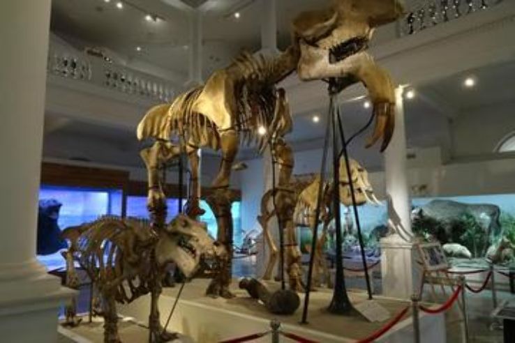 The Natural History Museum Tours, tours, France Top Attractions, Things to Do & Activities in The Best Khan Travel Agency