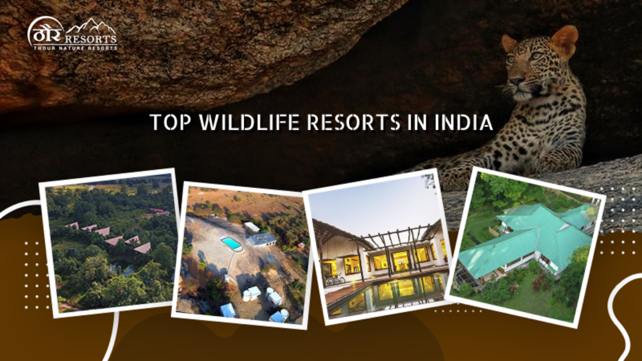 Top luxury Wildlife Resorts in India for a Thrilling Jungle Experience Khan Travel Agency