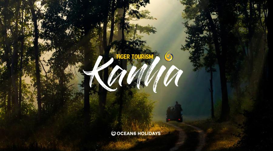 🐅🌲 Experience the Wild at Kanha National Park 🌲🐅 Get ready for an unforgettable jungle adventure Khan Travel Agency